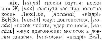 О происхождении слов nose, нос, ніс