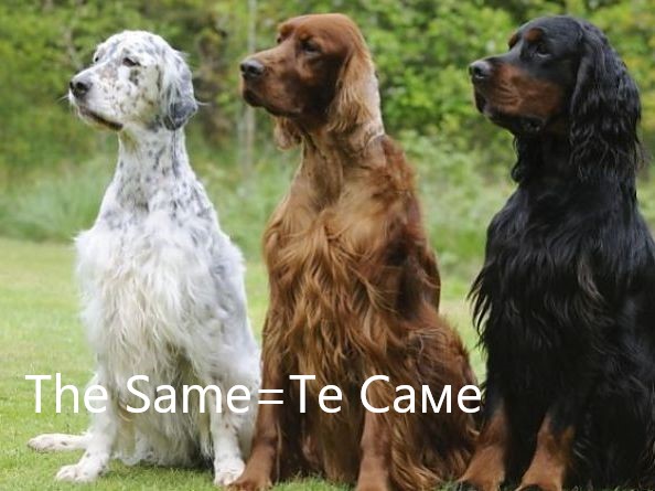 Английский "The Same=Те Саме" Словник. Слова на D